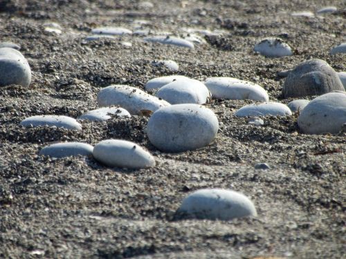 stones beach sand