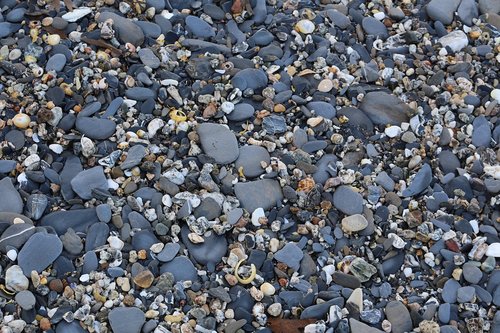 stones  pebbles  beach