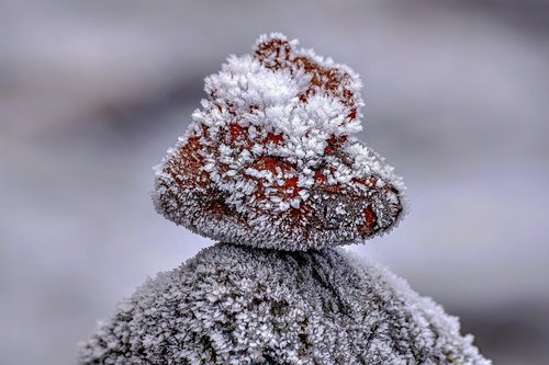 stones  hoarfrost  frost