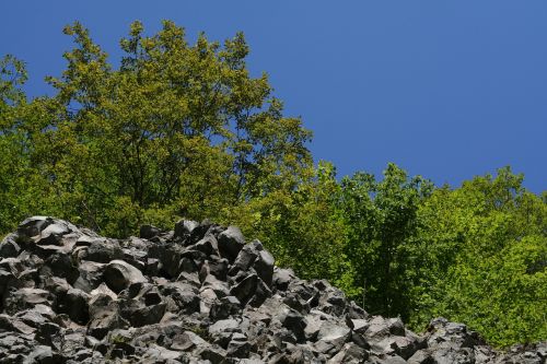 stones trees sky