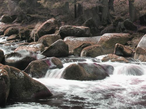 stones river nature