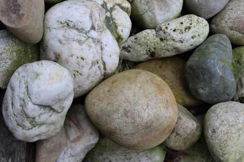 stones nature steinig