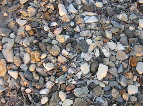 stones pebble evening sun