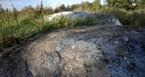 stones rock grass