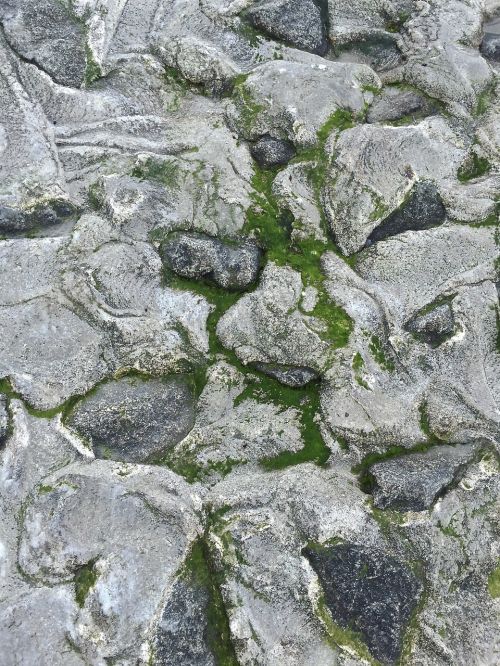 stones shore protection north sea