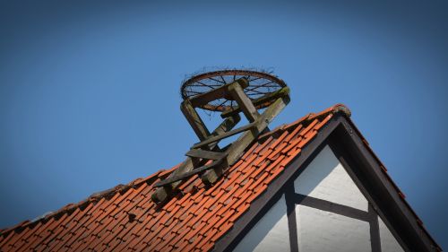 storchennest stork resting place