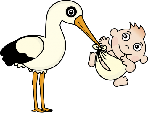 stork baby child