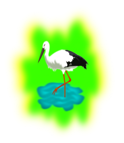 stork storch bird