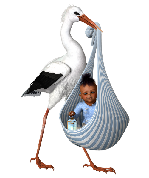 stork stork and baby child