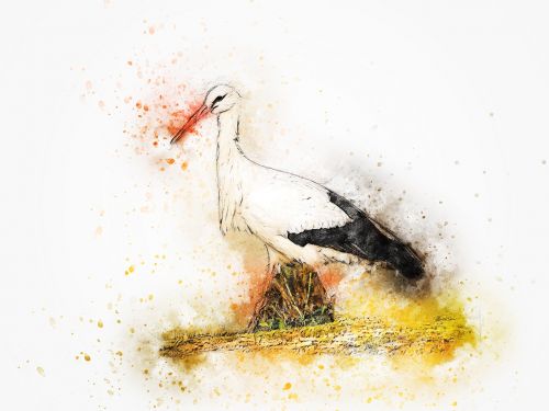 stork bird art