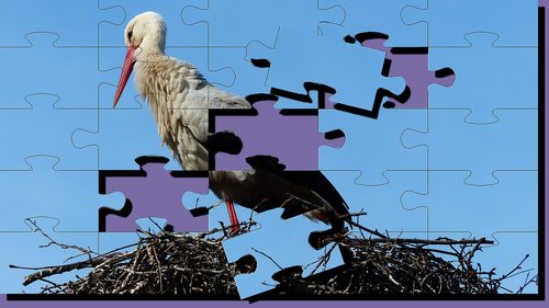 stork  puzzle  bird