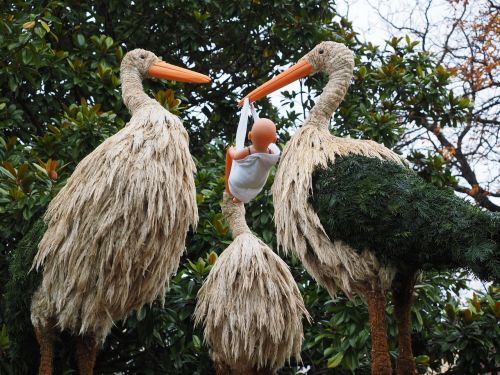 stork children bird