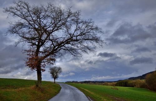 storm nature landscape