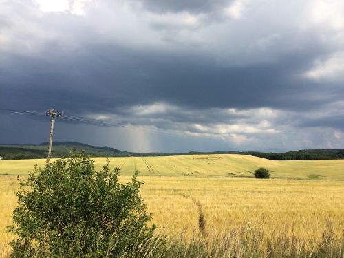 storm crop circle path