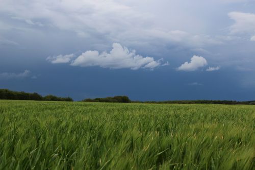 storm landscape