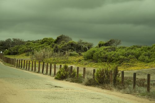 storm in the dunes