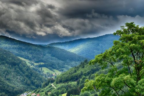 storm forest mountains