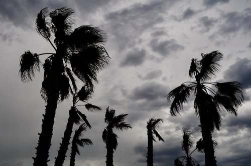 storm  sky  clouds