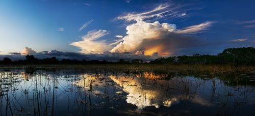 storm clouds everglades swamp
