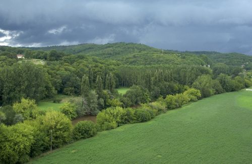 storm clouds forest trees