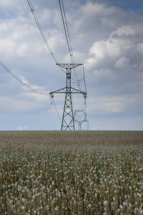 Transmission Tower In The Field