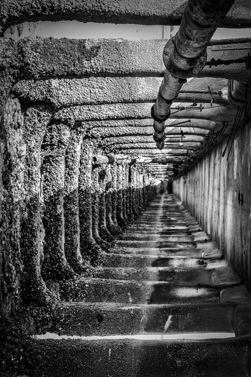strange tunnel black and white