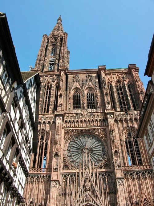 strasbourg cathedral rosette