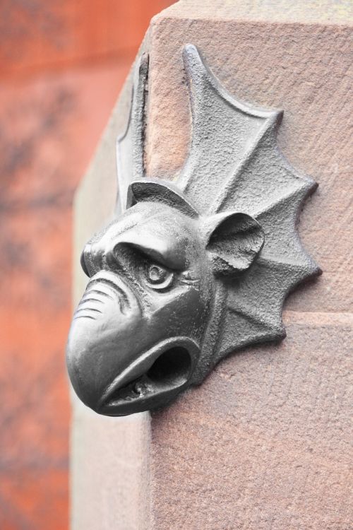 strasbourg gargoyle alsace