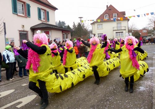 strassenfasnet guild group costume