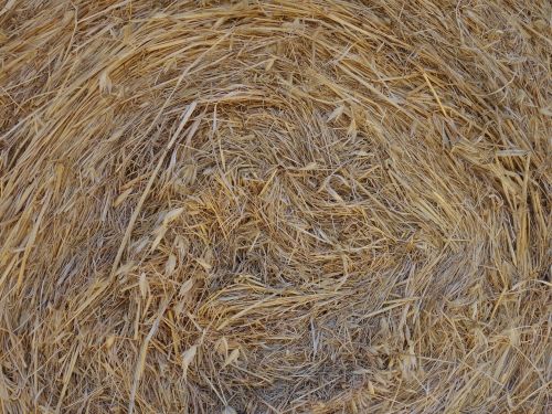 straw straw bales dry