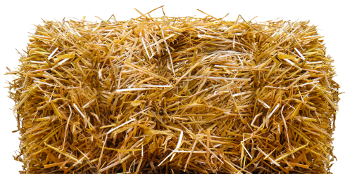 straw straw bales isolated