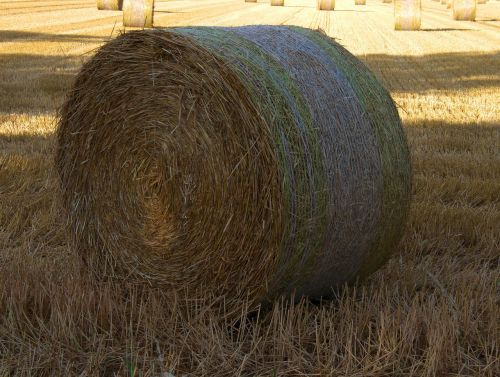 straw agriculture bale