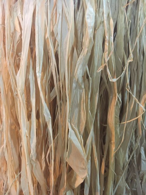 straw texture straw-of-the-coast