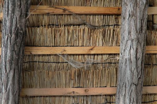straw hut ethno