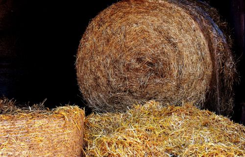 straw straw bales agriculture
