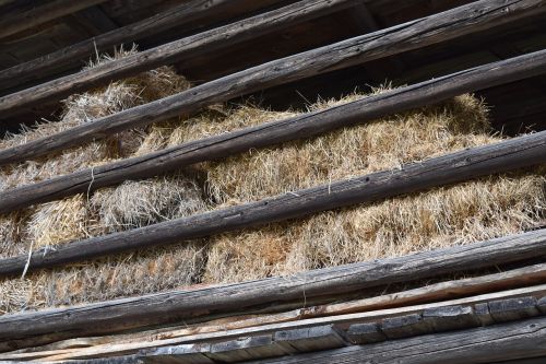 straw scale barn