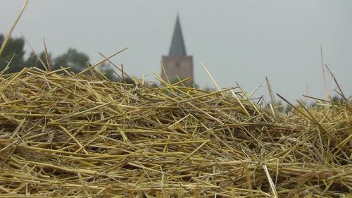 straw church nature