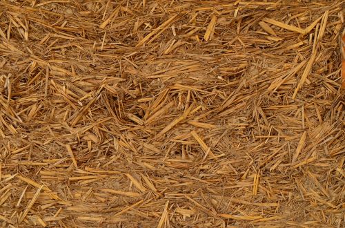 straw hay farm