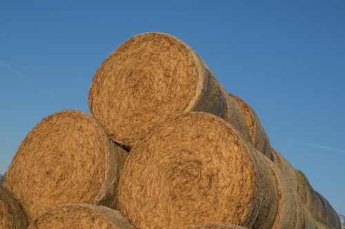 straw stroballen round bales