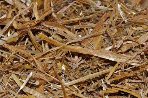 straw animal bedding natural material