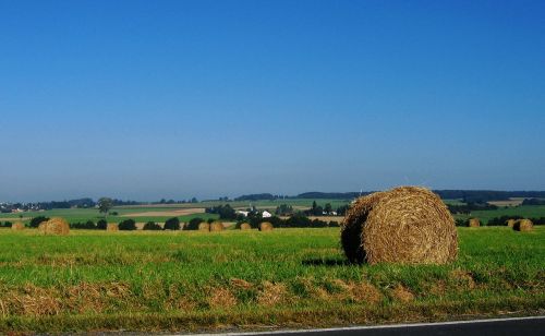 straw straw bales meadow