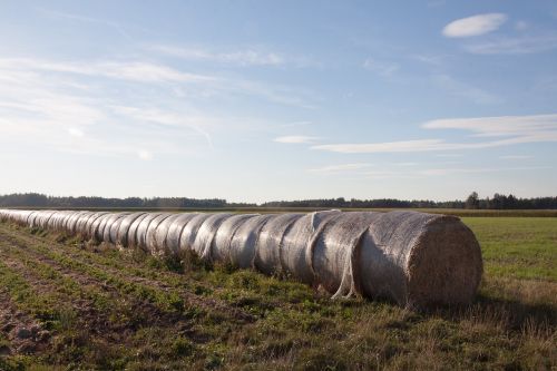 straw bale rolled