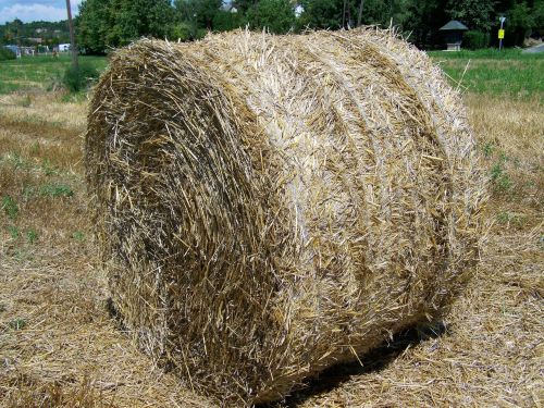 straw bale potential gabonaszár rural landscape