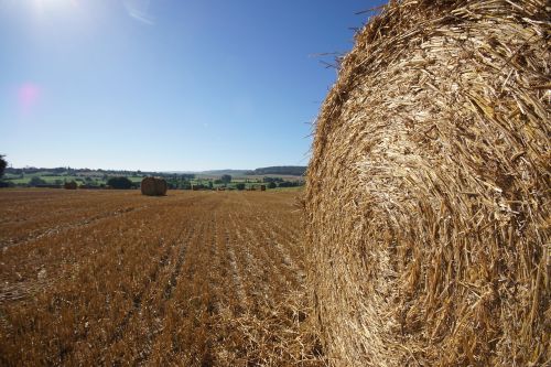 straw bale roller fields