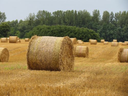 straw bale arable land stubble