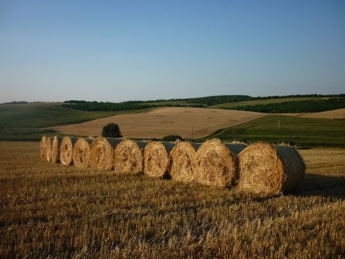 straw bale hill harvest