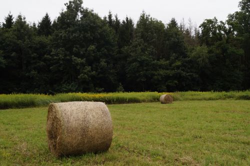 straw bale field forest
