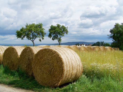 straw bales potential gabonaszár rural landscape
