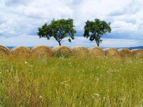 straw bales rural landscape field