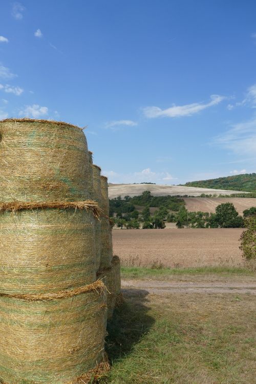 straw bales field summer